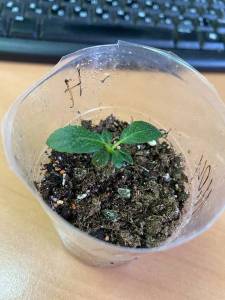 С Лидия 16.02.22.jpg