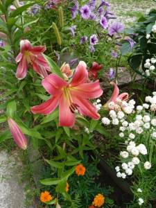 IMG_20210721_150639_1.jpg
