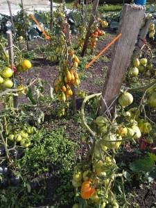 IMG_20220204_233650.jpg
