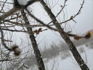 IMG_20220214_160538.jpg