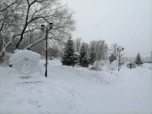 IMG_20220214_160728.jpg