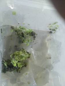 IMG_20220225_175529.jpg