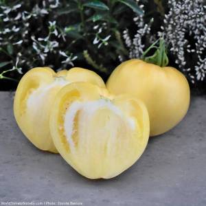 Reinhards-White-Heart-08.thumb.jpg.dd78223ac3dc0a86ba817c14d864912d.jpg