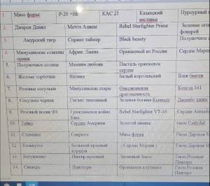 Screenshot_20211018_101935.thumb.jpg.01666639b511ba3139f957444d046a0f.jpg