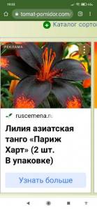 Screenshot_2022-02-08-19-03-36-029_com.android.chrome.thumb.jpg.19949e99af9ad2960db2e44f1cb4349c.jpg