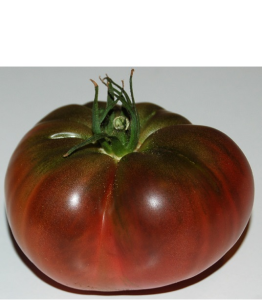 Tomate-Blue-Fruit-Mariannas.thumb.png.a980004488910467d4e628906345b526.png