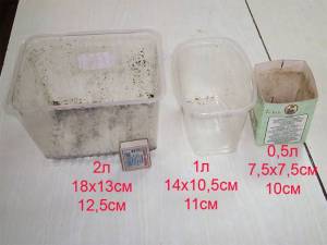 081-2.thumb.jpg.7ab7055eee900dd1d481c985a5d1e2c1.jpg