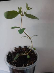 20220311_103959 (1).jpg