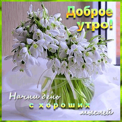 882946528.thumb.gif.f93784e484f7553eacf449010cbae41d.gif