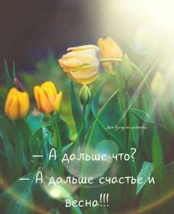 IMG-20220311-WA0000.thumb.jpg.28f8a2513b76089eca076c8844621890.jpg