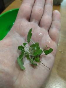 IMG_20220301_184036.jpg