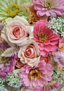 aed5f851e4013098262ae5cca9cf782e--pastel-bouquet-pastel-flowers.thumb.jpg.79e56d8a984ccd270308ed6a4c6cb106.jpg