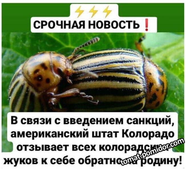 Все подряд