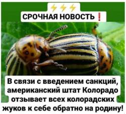 скатертью дорожка