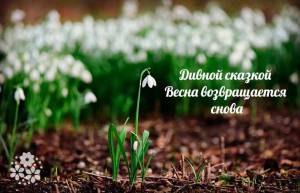 stih-vesna_01.thumb.jpg.914f4385b010eb55a934fae739fdf322.jpg