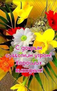 subbota-22.thumb.jpg.509f971b147e5e12f6990337a63f8077.jpg