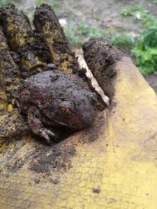 Фото-0039 (3).jpg