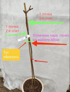 781633442_.thumb.png.9ef40bf8f6938d4e310421d7b3d4f693.png