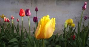 04.thumb.JPG.593a3d1123f6a25e381cea879b53c3d1.JPG