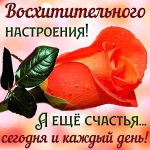 ДОБРОГО ДНЯ.jpg