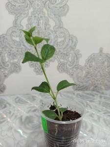 WhatsApp Image 2022-05-30 at 21.59.38.jpeg