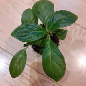 1 ю енд ми.jpg