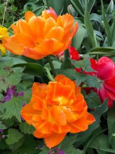 343D9288-4C87-46FE-A27B-5F9B6218AE31.jpeg