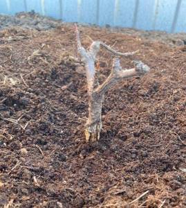 WhatsApp Image 2022-05-09 at 22.41.08.jpeg