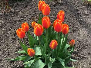 8FF30210-BE50-454D-A112-6D14BBB3CDFD.jpeg