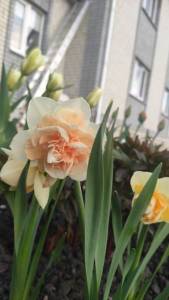 IMG_20220504_192107.jpg
