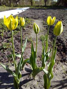 IMG_20220506_160930.thumb.jpg.a9cb0cc806c9c53f8955976b9375f92a.jpg