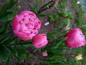 IMG_20220511_190513_1.jpg