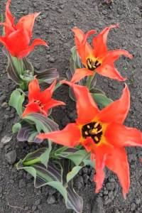 IMG_20220514_094950.jpg