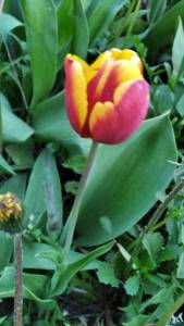 IMG_20220519_193837.thumb.jpg.49c60e22626ae574b3973de8ccaeb8d5.jpg