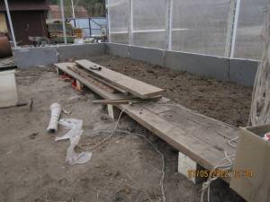 IMG_6684.thumb.JPG.7de5f148ffd0476a21bc93e5f3b86dbb.JPG