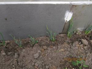 IMG_6703.thumb.JPG.d256bf6c5c055564b9f7adc890ccf9a6.JPG