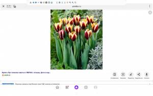Screenshot_20220517-132252_Yandex.jpg