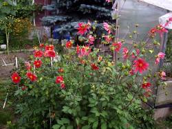 081-2.jpg
