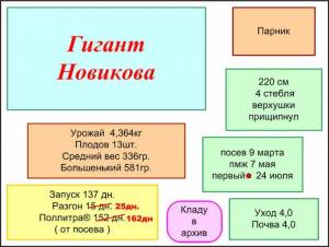 022.thumb.JPG.19cc5780c3e17eea300f7d478c3aebf5.JPG