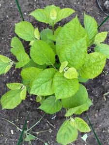 WhatsApp Image 2022-06-10 at 15.11.41.jpeg