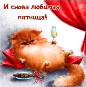 1510495410_.thumb.jpg.3d6bb375f162e427670ad5e65af3909f.jpg