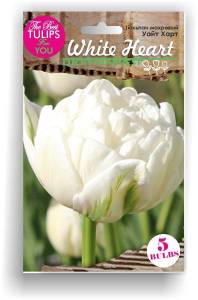 увайт_хеарт.jpg