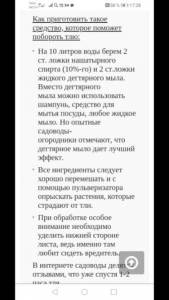 тля на томатах.jpg