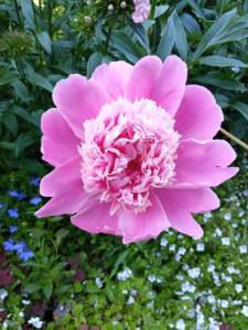 IMG_20220628_085336.jpg