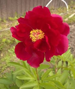 WP_20220626_003.jpg