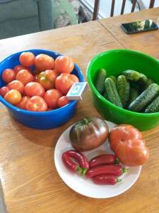 IMG_20220706_120020909[1].jpg