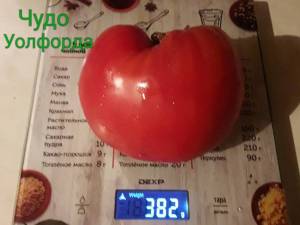 20201101_120236.jpg