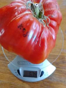 IMG_20220728_092809[1].jpg