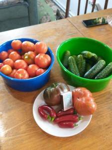 IMG_20220706_120034550[1].jpg