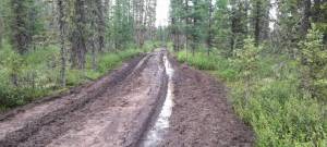 IMG-20220628-WA0076.jpg